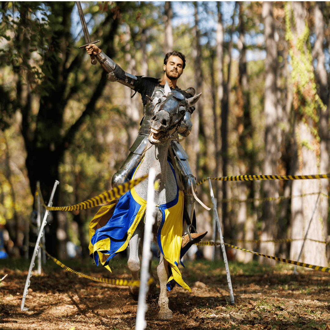 Vitez na Dečjem festivalu Oplenac