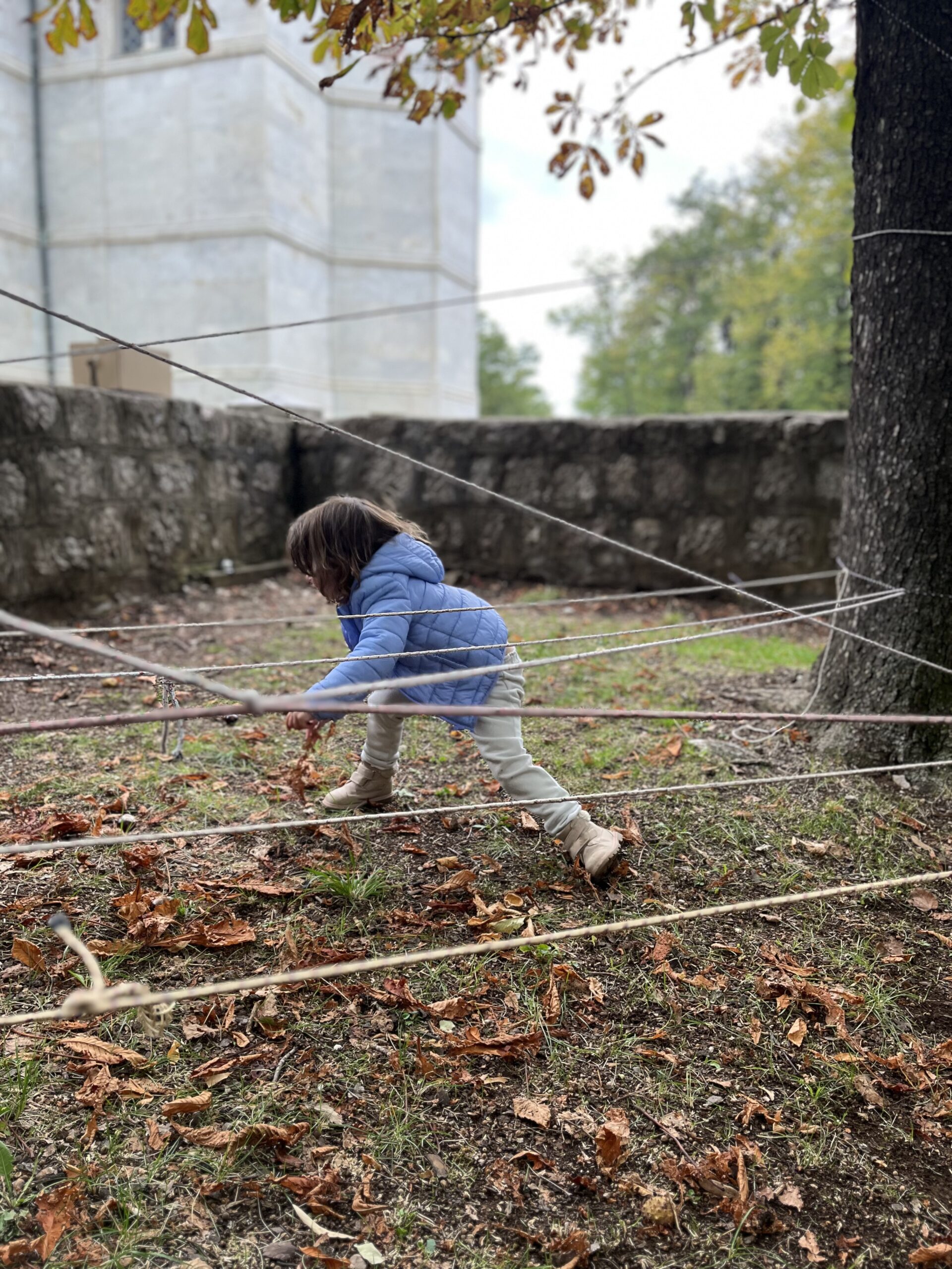 Aktivnosti na Oplenačkoj berbi